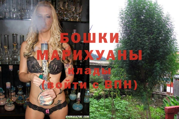 PSILOCYBIN Алзамай
