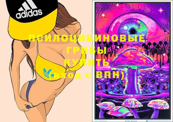 PSILOCYBIN Алзамай