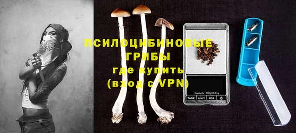 PSILOCYBIN Алзамай